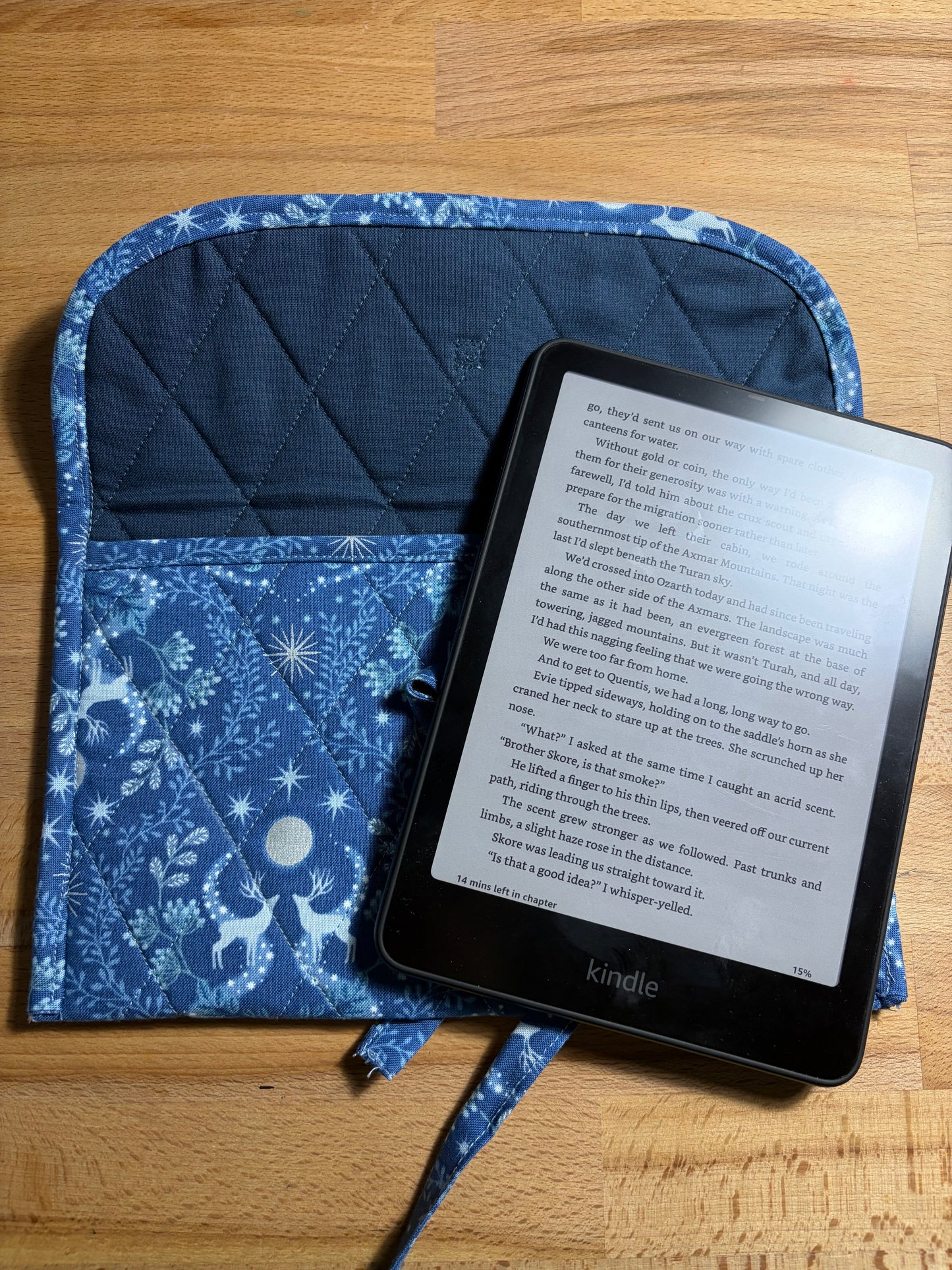 Throne of Glass Inspired Kindle Sleeve
